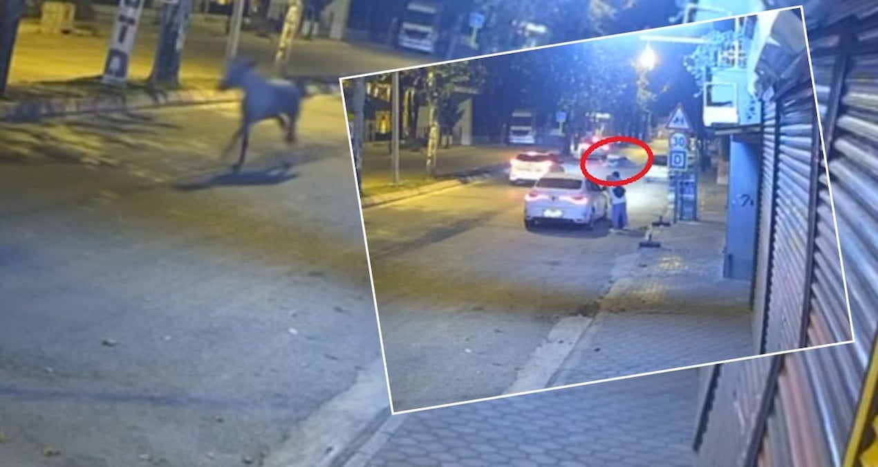 adanada bir garip kaza at karsidan gelen araca carpti 2Ag1JiDN