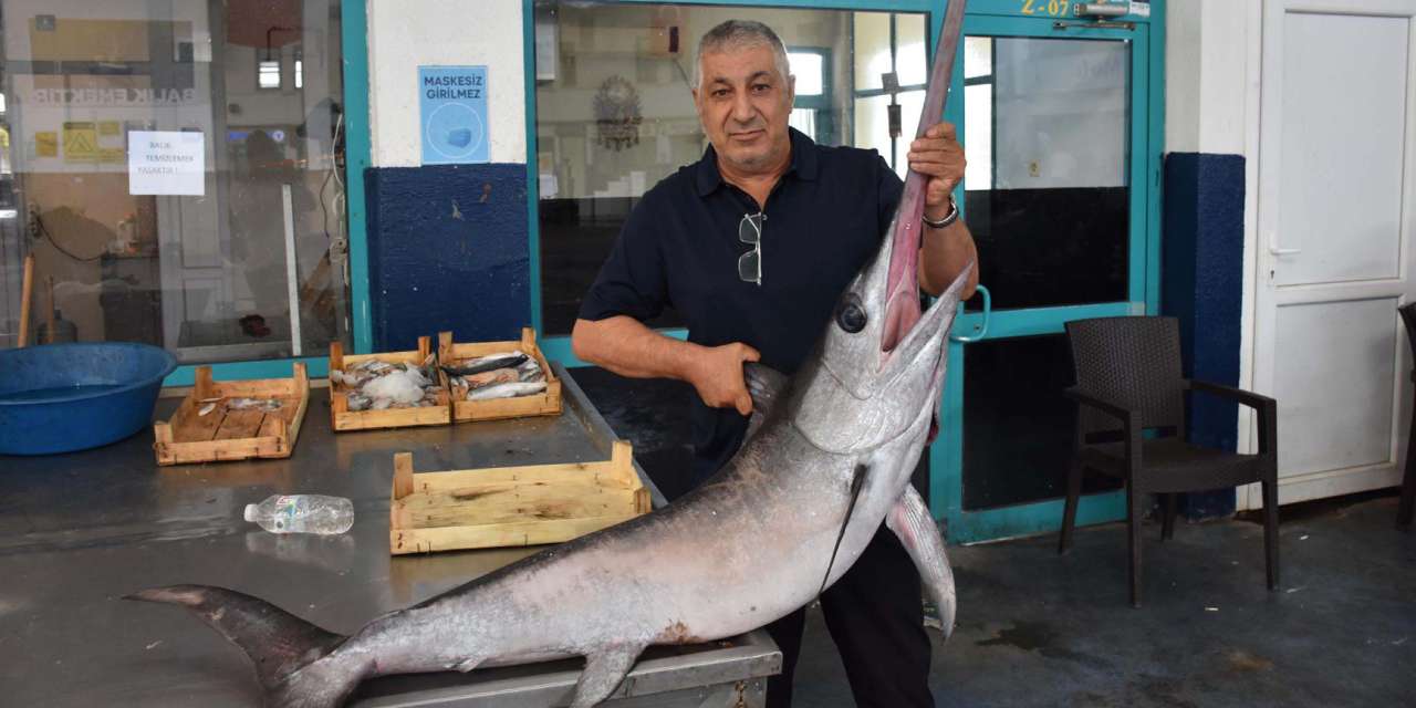 egede cikan baliklar soke etti balikcilar saskina dondu CKKtMgwb