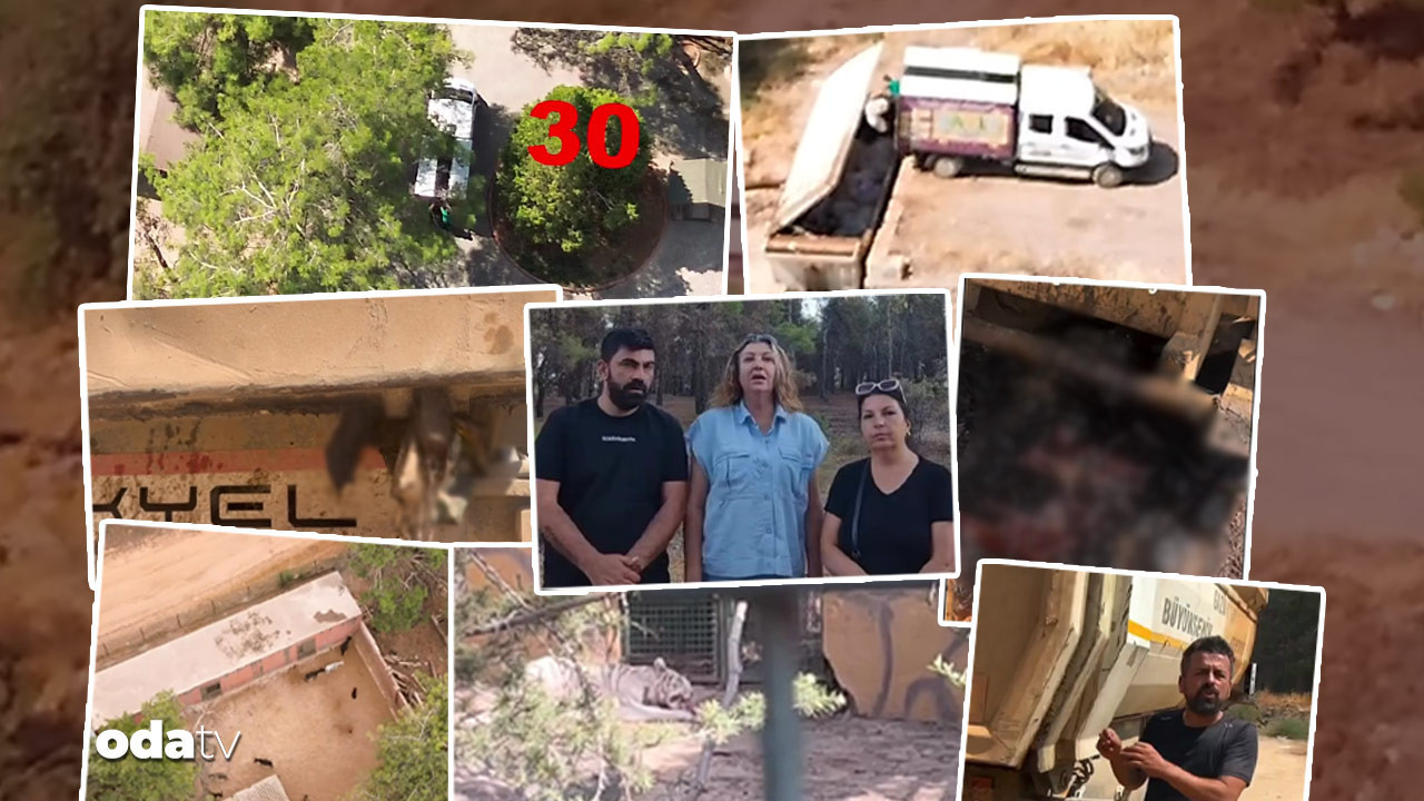 gaziantepte neler oluyor kopek ve esekleri aslanlara mi yedirdiler iddiasi belediyeden aciklama CB3hjZV3