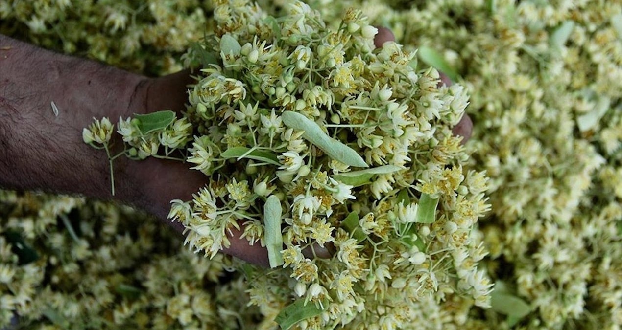 degeri altinla yarisiyor ama sonbahar geldi kapis kapis satiliyor wqEH87Fj.jpg