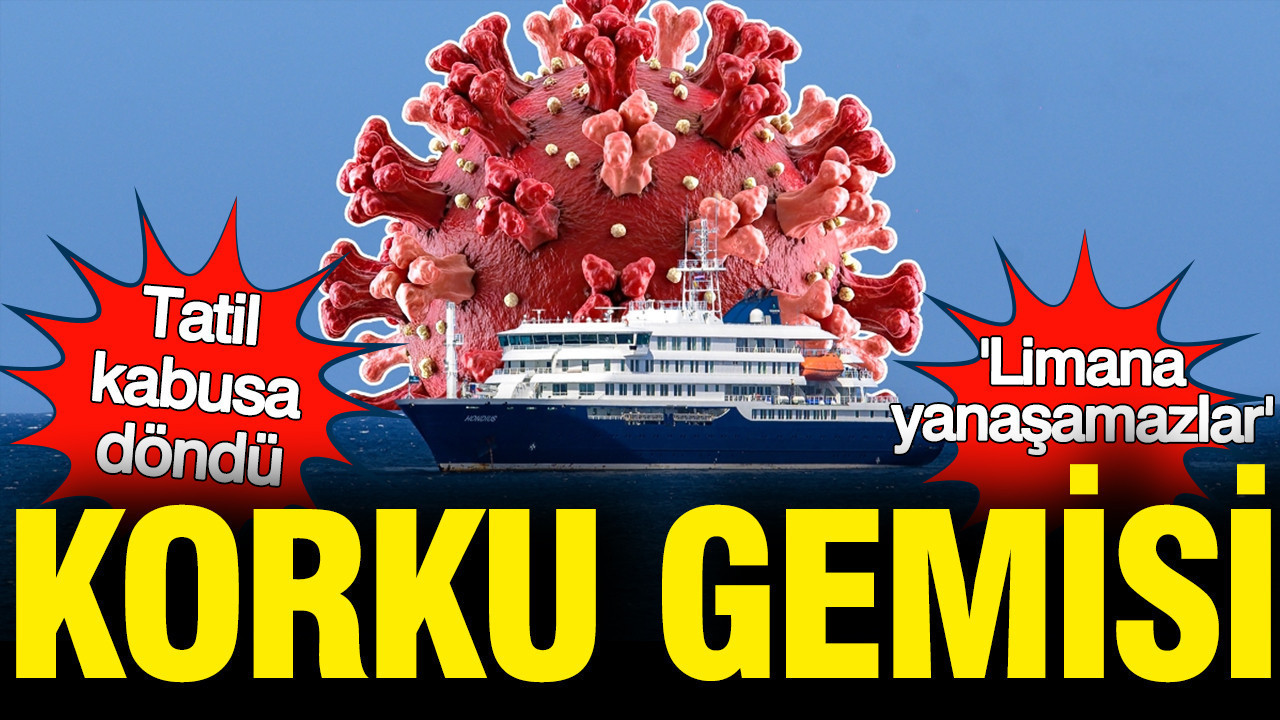 Hantavirüs Kabusu: MV Hondius Gemisinde Endişe Dolu Günler