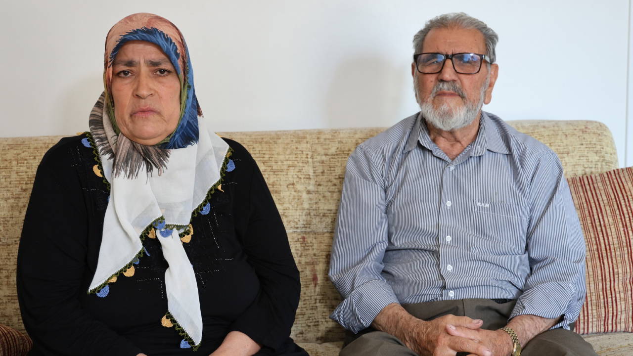 Doğal Çözüm: Nane Bitkisi ile Örümcekleri Evlerinizden Uzak Tutun