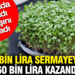 10 bin lira sermayeyle aylik 60 bin lira kazandiriyor bir odada basladi maasini katladi mH4Hjnla