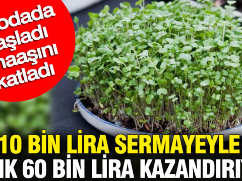 10 bin lira sermayeyle aylik 60 bin lira kazandiriyor bir odada basladi maasini katladi mH4Hjnla