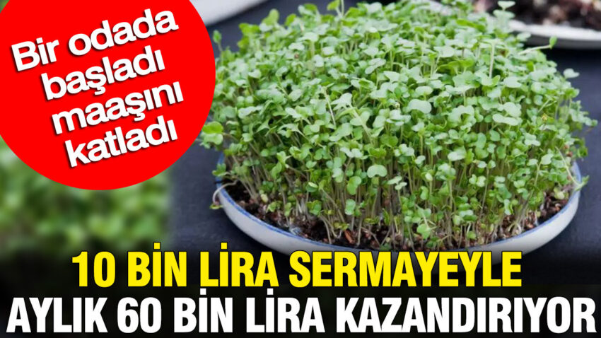 10 bin lira sermayeyle aylik 60 bin lira kazandiriyor bir odada basladi maasini katladi mH4Hjnla